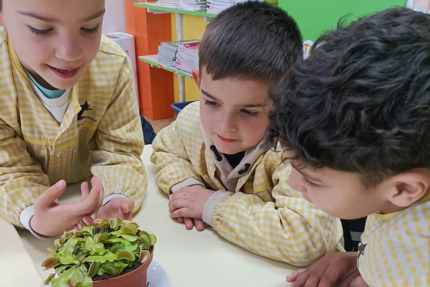 Treball per projectes - Escola Andersen